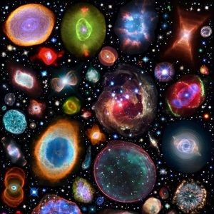 Meet your Posher, Naomi